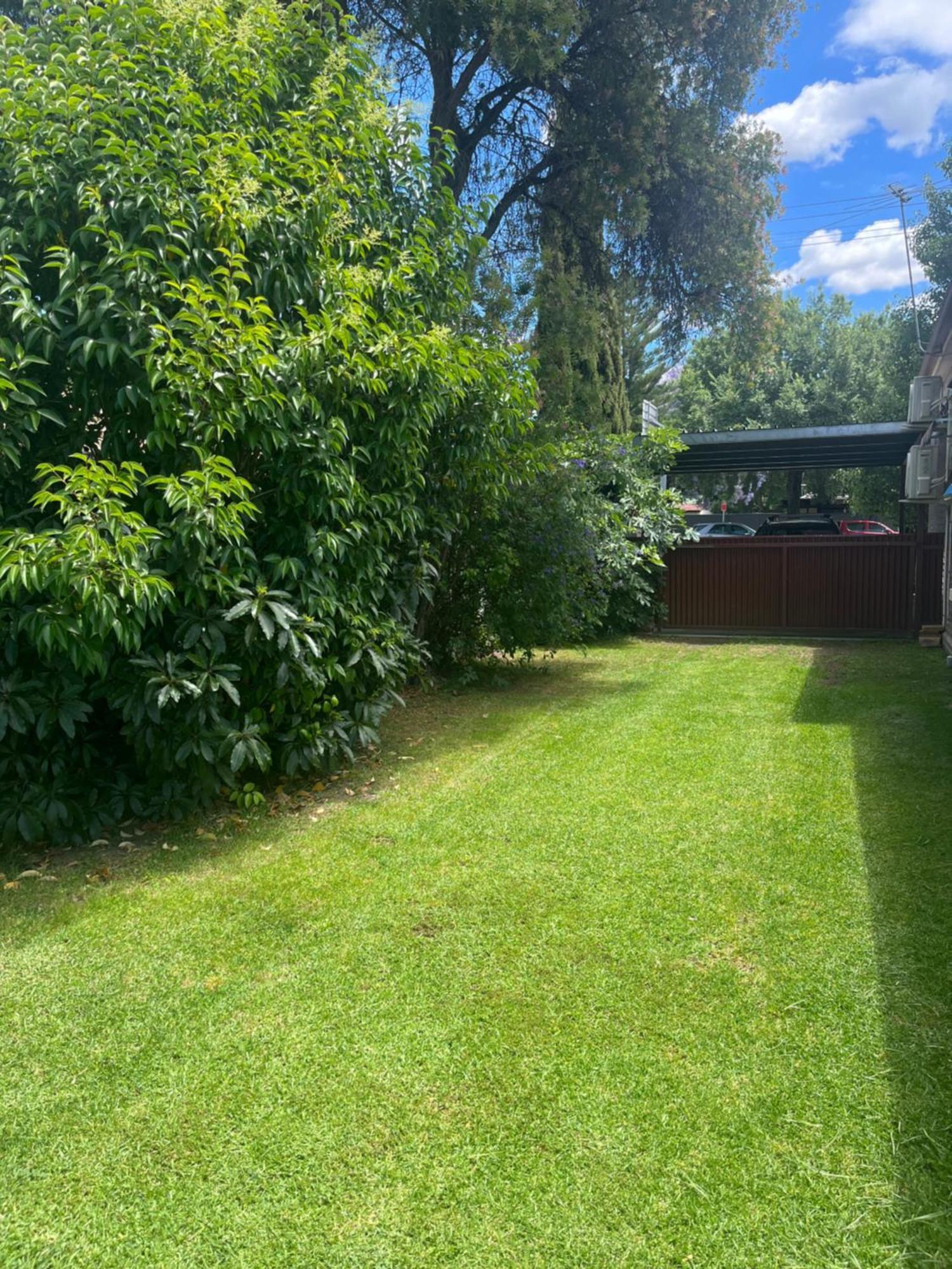 Somerby! Modern Character Property! Cbd,Pets,Park Albury Eksteriør bilde